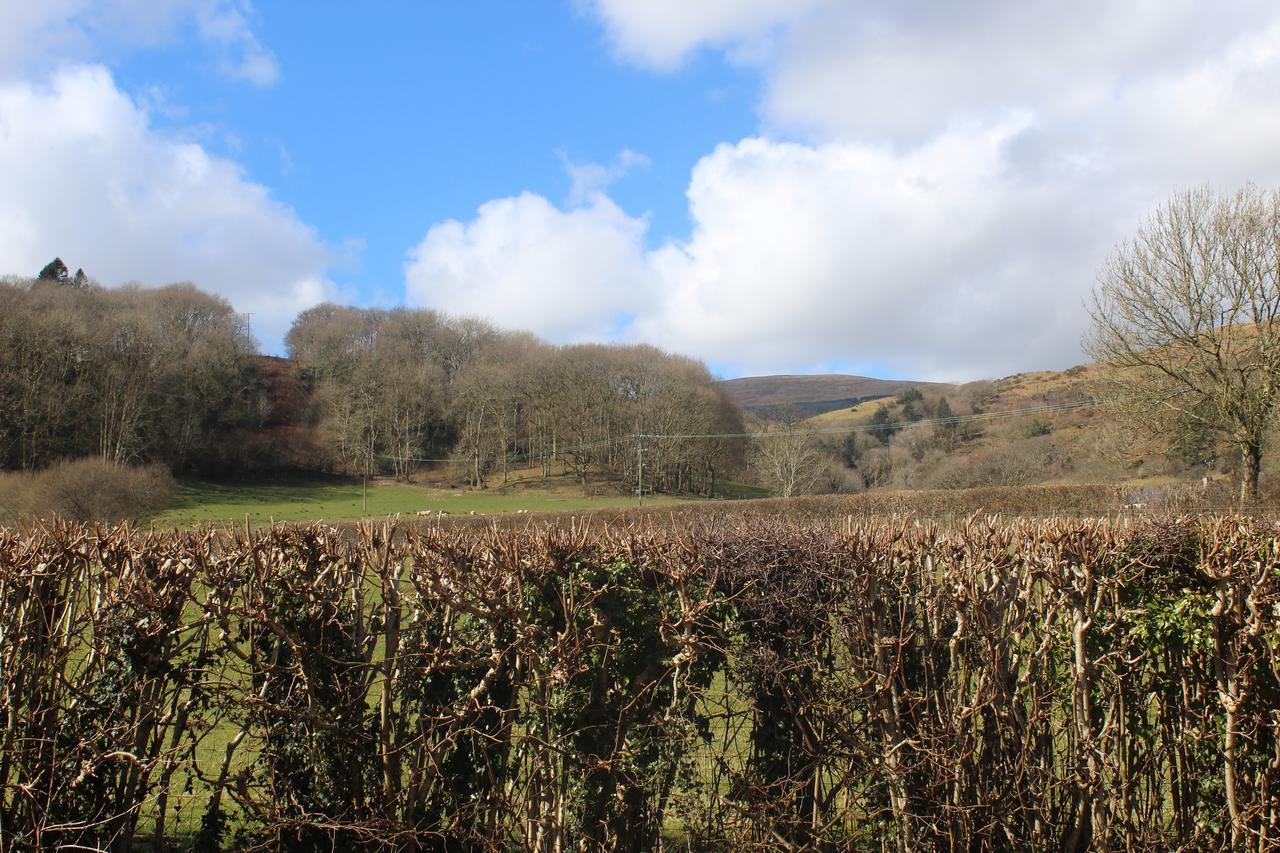 Pennal Capel- Y-Bryniau 빌라 외부 사진